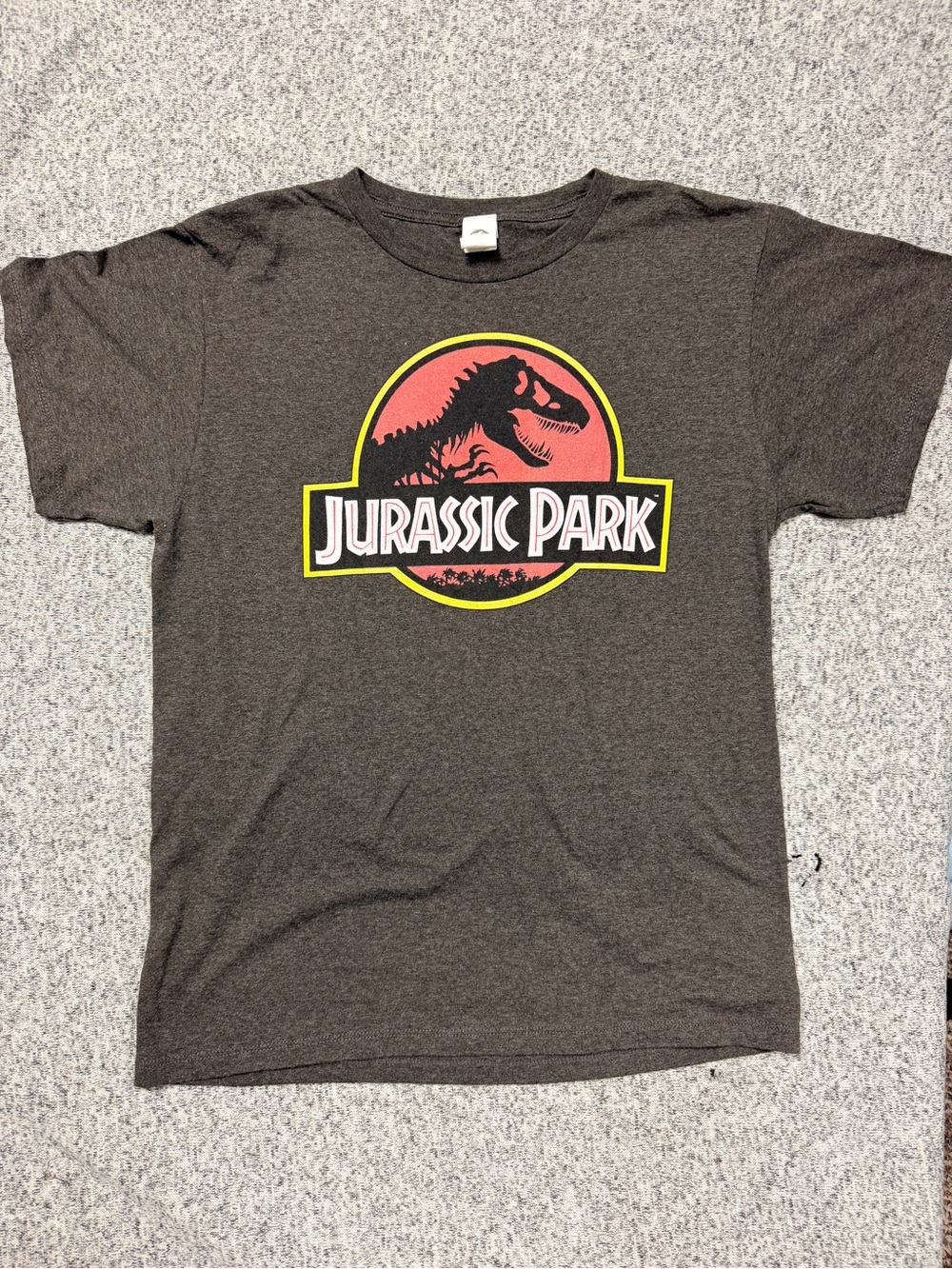 Kids' Gray Graphic Tee Jurassic Park